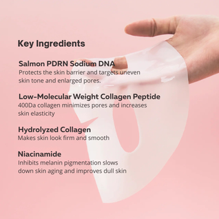 PDRN Collagen Overnight Mask